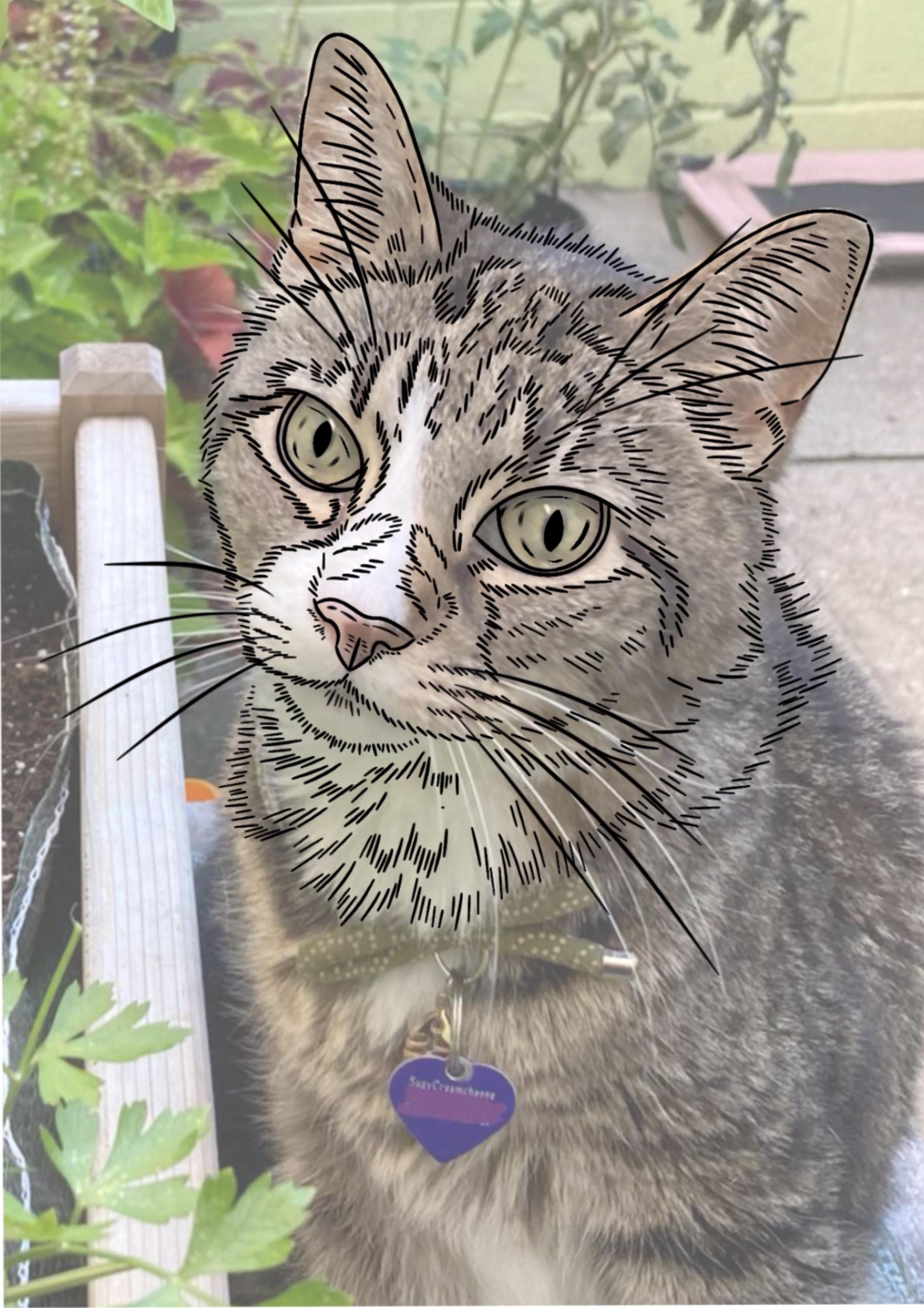 ペットの肖像画刺繍パターン:犬または猫の輪郭(PDFダウンロード、6×6 ペットの肖像画刺繍パターン:犬または猫の輪郭(PDFダウンロード、6×6