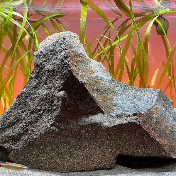 Extra Large Aquarium Decor - Etsy