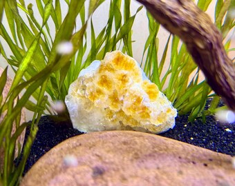 Decorazioni per acquario - Cristalli naturali per acquario