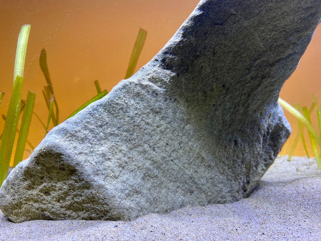 Fish Tank Rock Large Natural Rock Decor Etsy