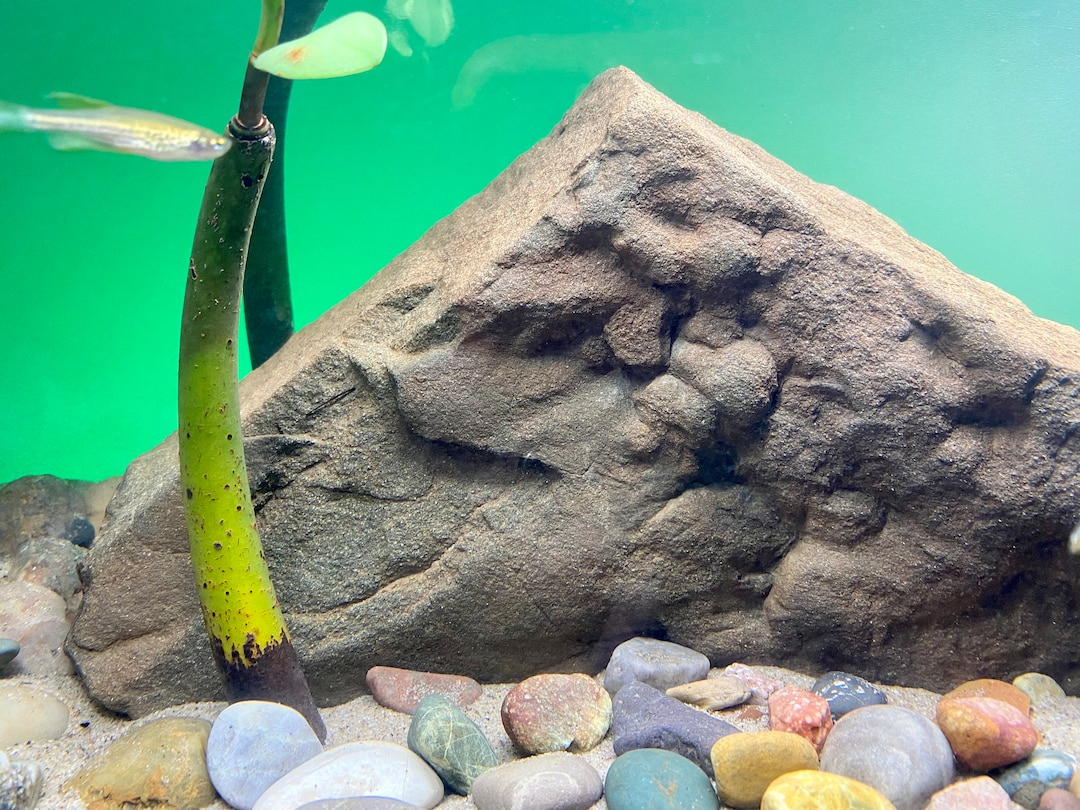 Large Aquarium Rock Natural Stone Decor for Aquascaping Hardscaping Etsy