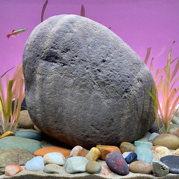 Extra Large Aquarium Decor Etsy