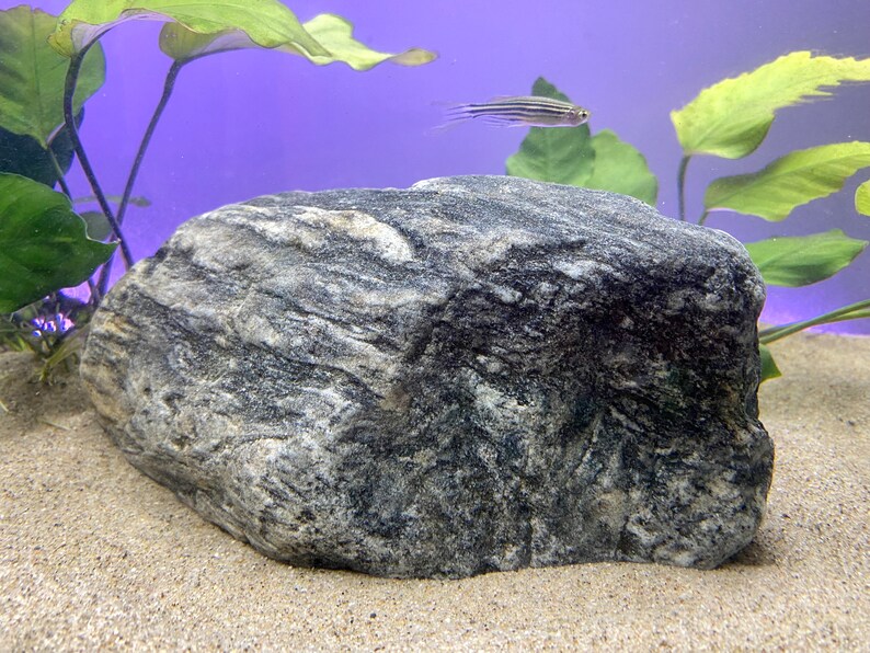 Large Natural Rock Fish Tank Decor Etsy