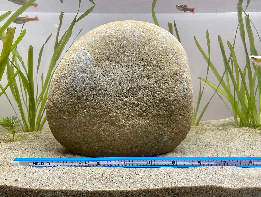 Extra Large Aquarium Rock Stone Fish Tank Rock Natural Etsy