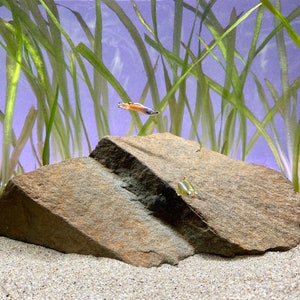 Aquarium Rocks Aquascape Driftwood Bonsai Fish Tank Decorations Terrarium  Rocks 