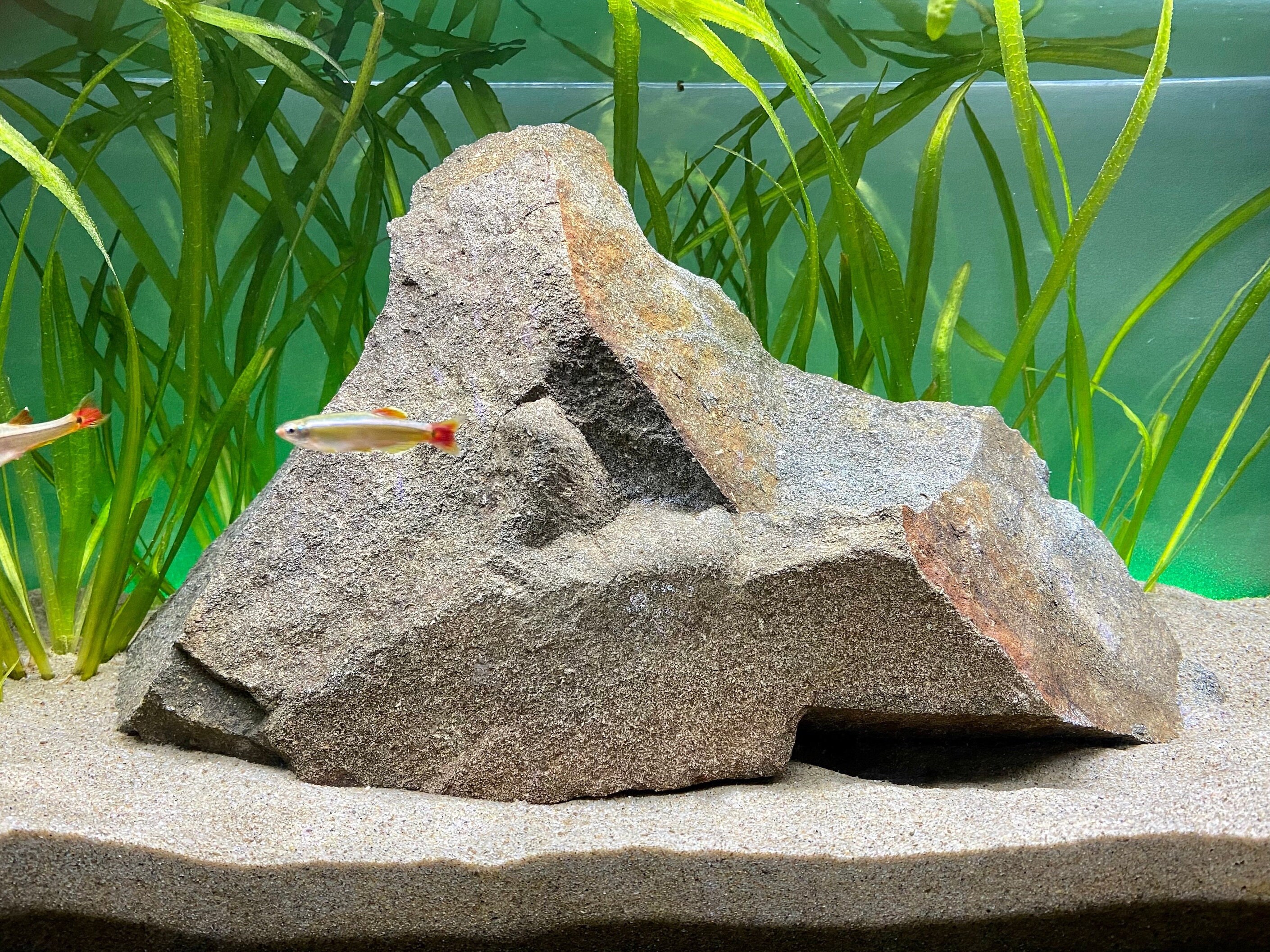 Extra Large Natural Aquarium Rock Etsy