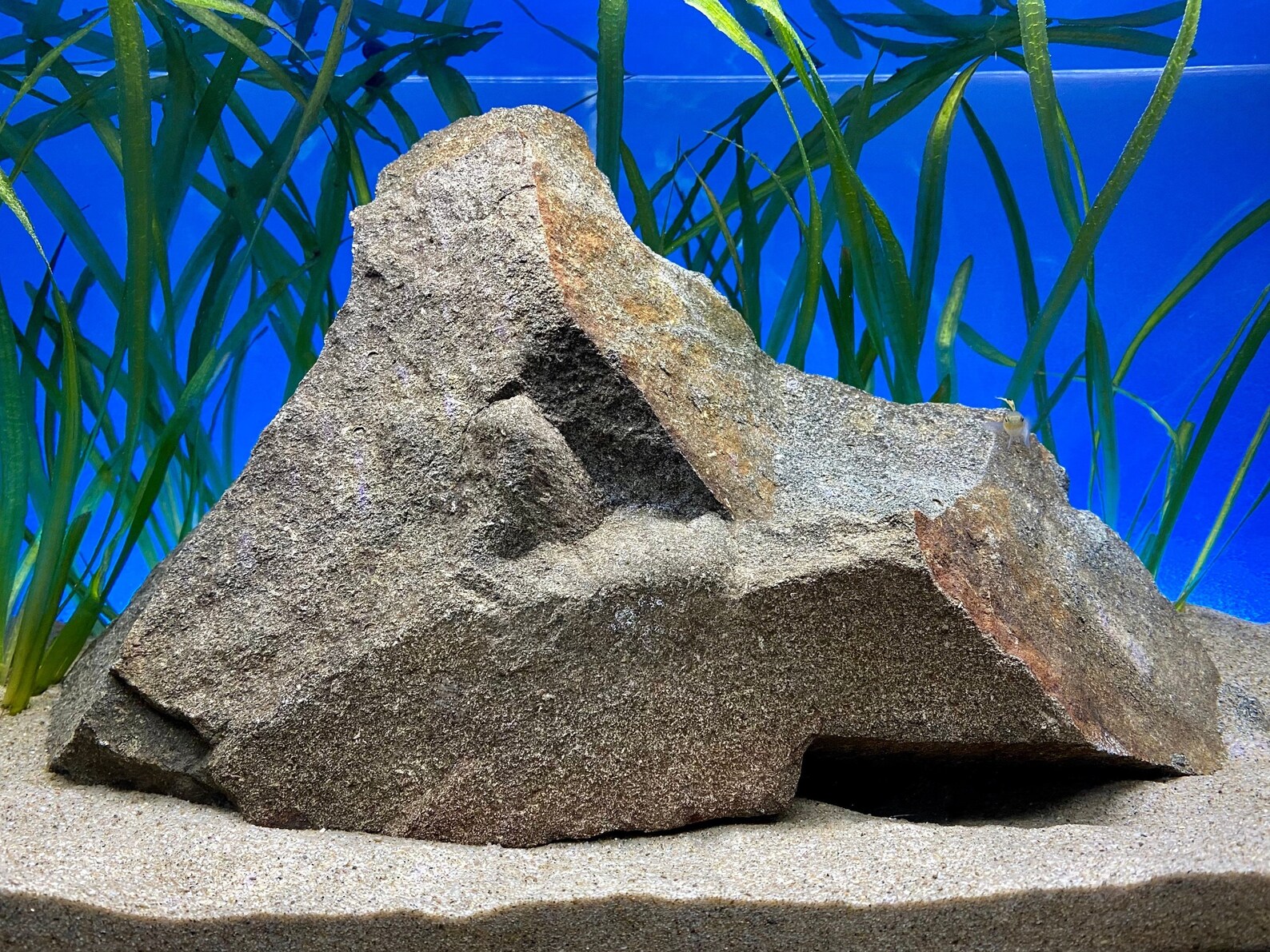 Extra Large Natural Aquarium Rock Etsy