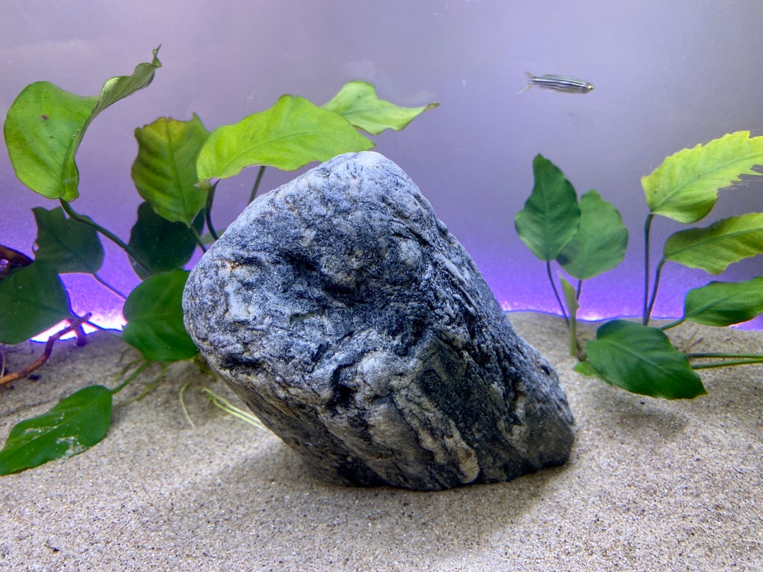 Large Natural Rock Fish Tank Decor Etsy