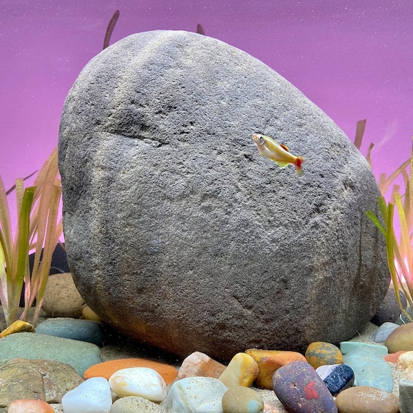 Extra Large Aquarium Decor Etsy