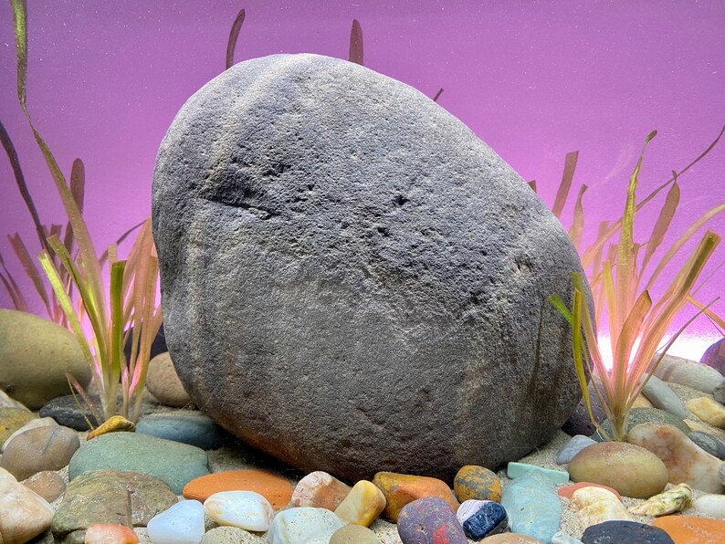 thumbnail interactive-video image 1 of Aazon.co: AWXZO Extra Large Aquariu Decorations Kit - "Ancient 1 of 1