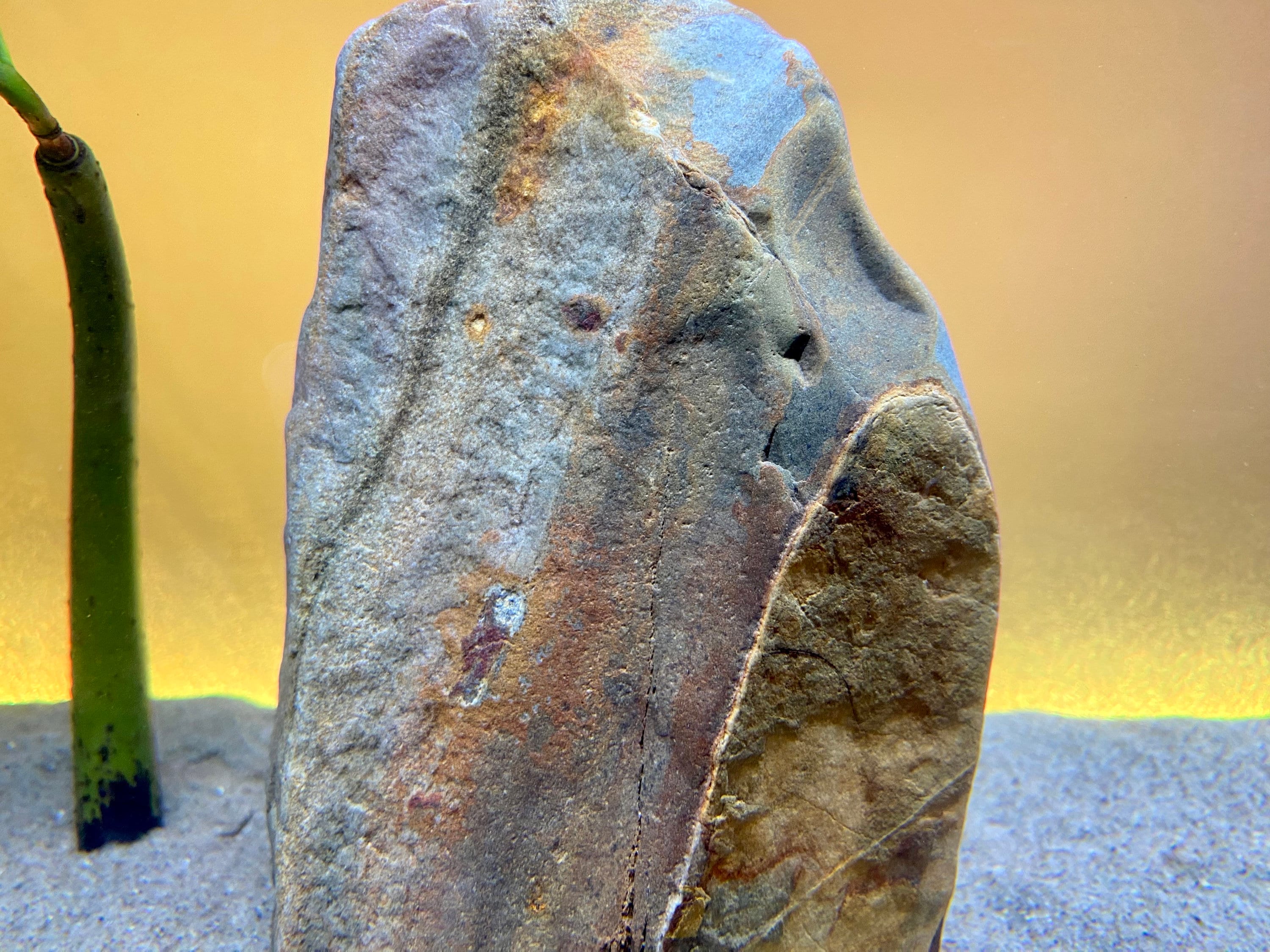 Natural Rock Medium Stone Fish Tank Rock Real Rock Decor for ...