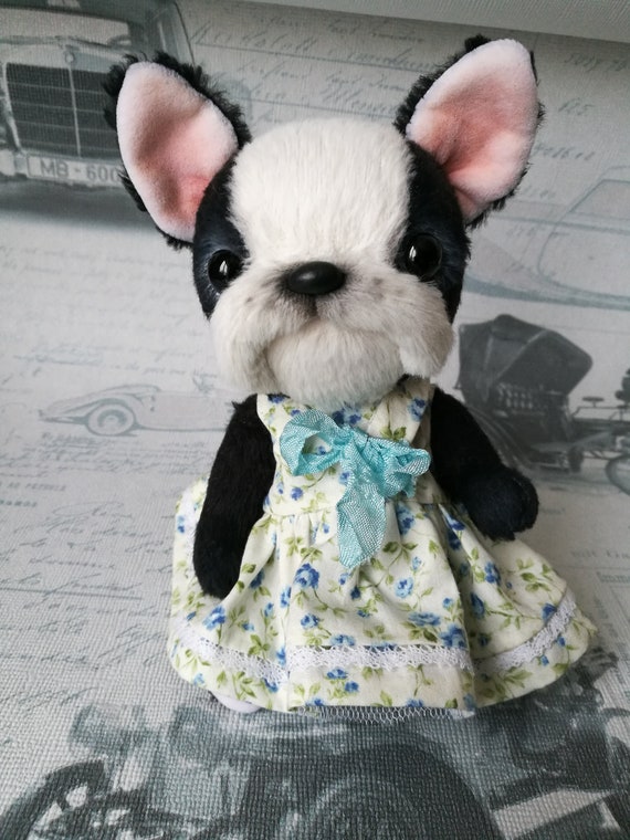 black french bulldog teddy