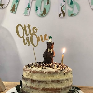 Personalized 1st Birthday Cake Topper: Wild One Jungle Theme