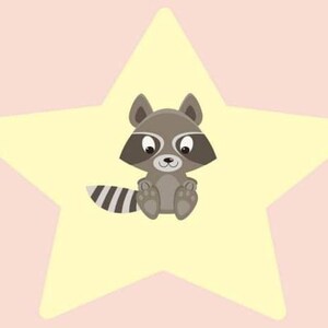 Puede incluir: Un adorable mapache de dibujos animados sentado dentro de una estrella amarilla sobre un fondo rosa.