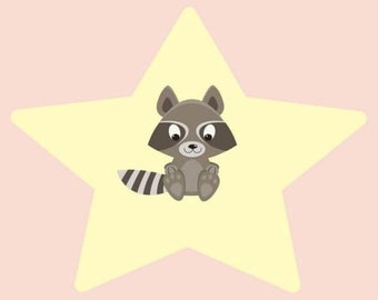 Raccoon Star