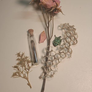 One partial tarantula exoskeleton leg piece in tiny glass vial