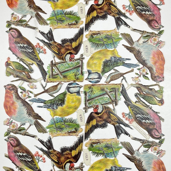 Vintage Die-Cut Bird Sheet: 24 Colorful Birds for Scrapbooking or Decoration - 12.5 x 9 Inches - Original Antique Die Cut, Never Used.