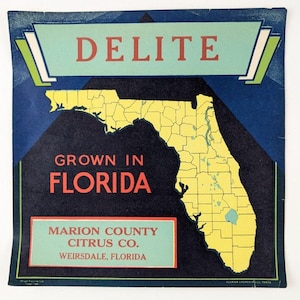Vtg Delite Citrus Fruit Crate Label Marion County Weirsdale, Florida