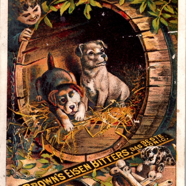 1880s Brown's Eisen Bitters Victorian Trade Card in German with Cute Puppies