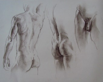 Drawing male nude,Nude man drawing,Nude art,Naked Man Art,Nude Oil Painting,Nude painting,Naked man body,Male torso,Figure drawing