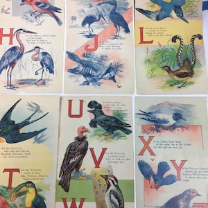 ABC Alphabet of Birds Complete Set of Original Lithographs (1916)