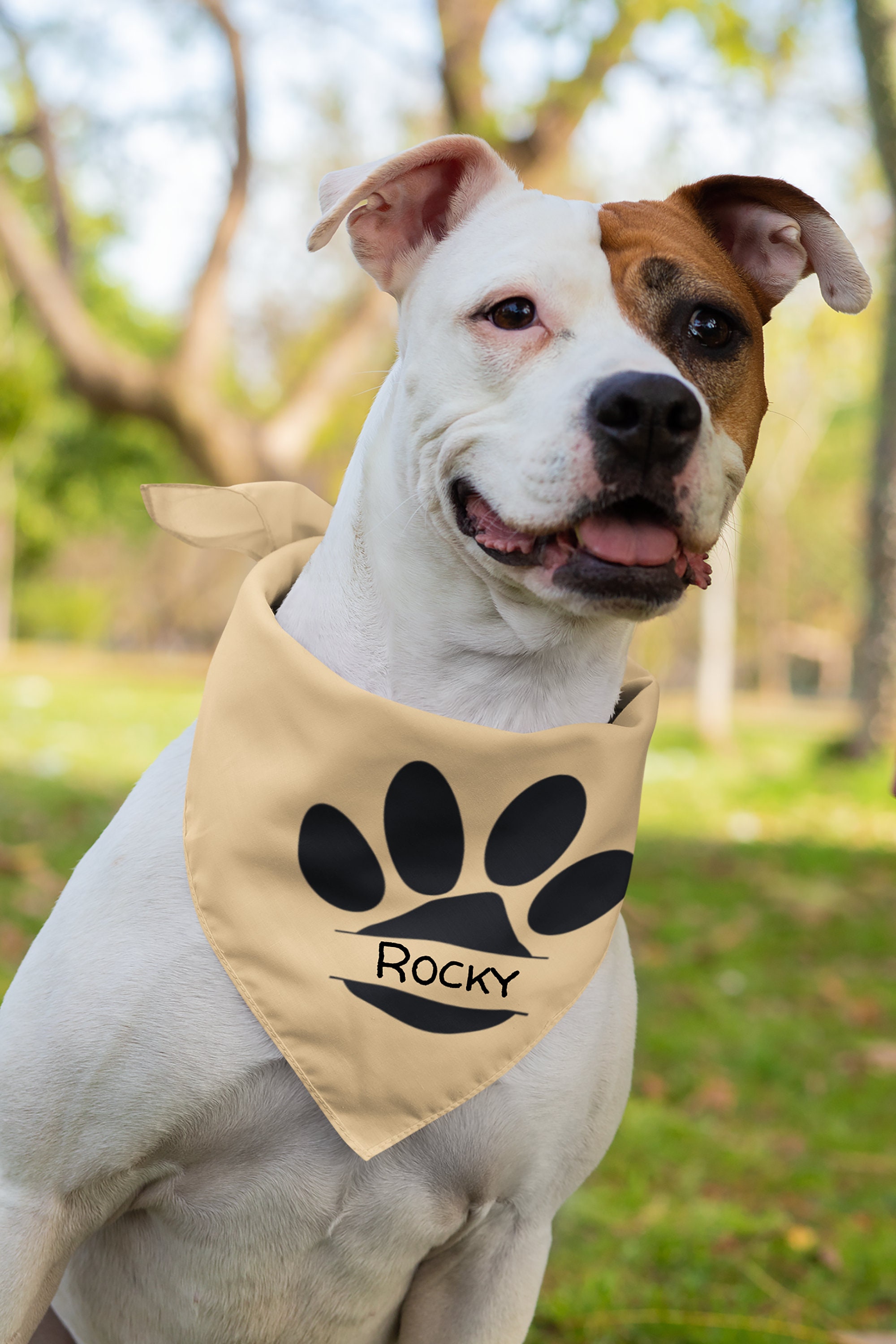Dog Monogram SVG Bundle Dog Monogram Decal Clipart - Etsy