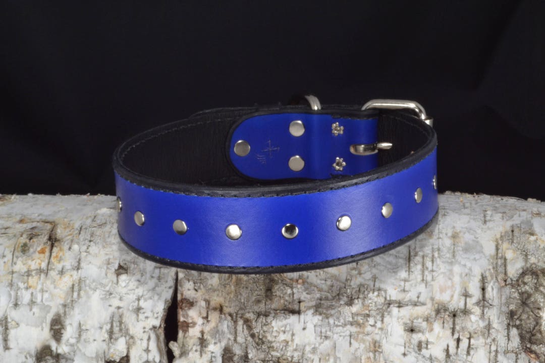 7. Rich Blue 100% Real Leather Dog Collars - Etsy