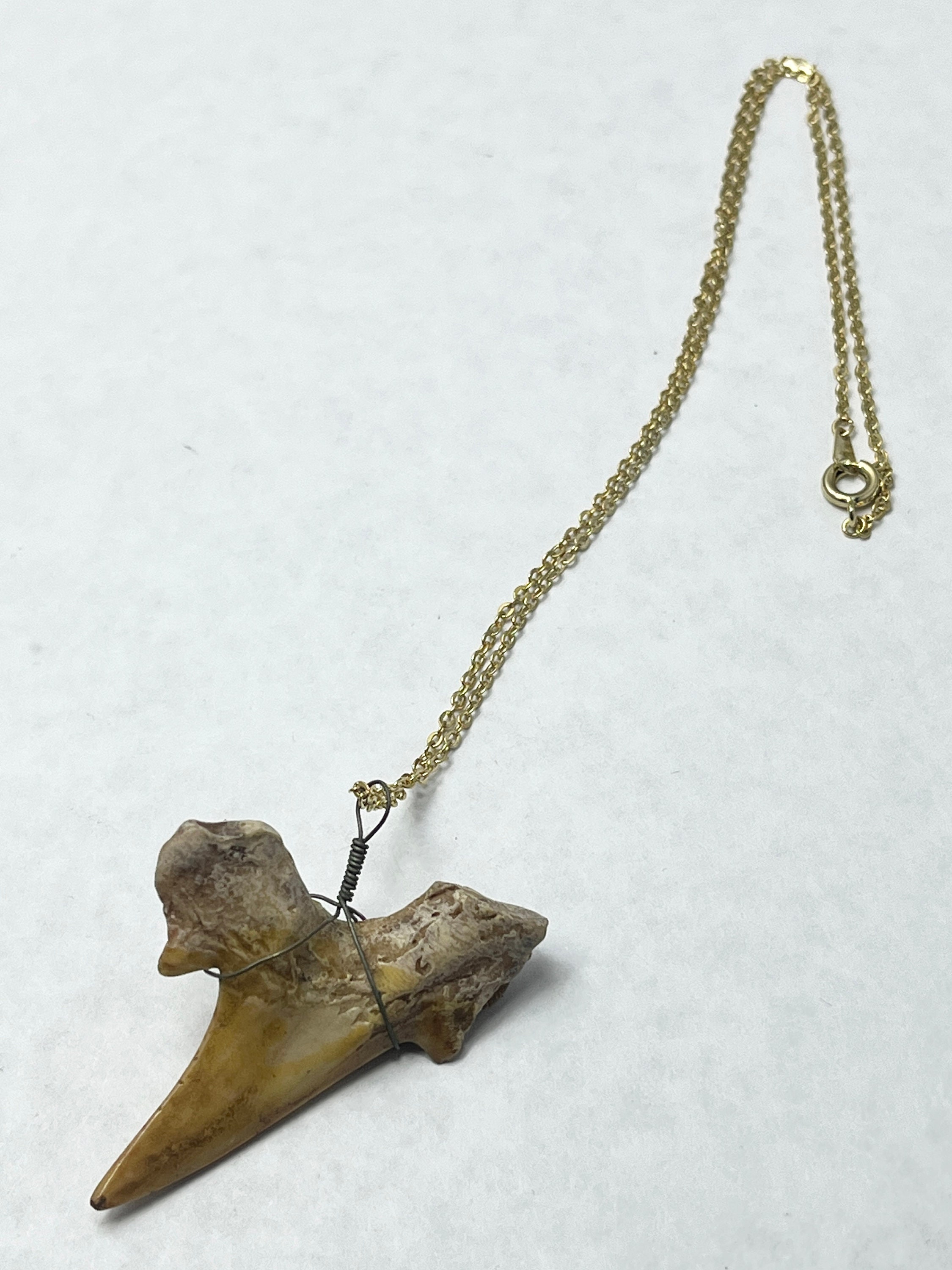 ★BTS着用★【PORTRAIT REPORT】★“Shark Tooth” Necklac.e★ il_fullxfull.4950024712_rb9b.jpg