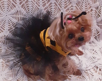 Bumble Bee pet dress, Cat-Dog costume Pet party, Clothing for Dogs  and Cats all sizes from small to large. Great for Halloween!