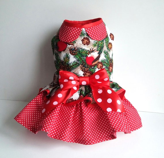 princess polly baby blue dress Polka Dot Dress – Winter to Spring main image 1