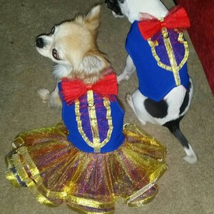 Dog dress princess with blue bodice and tulle skirt tutu.