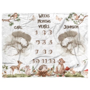 Woodland Animals Blanket For Twins, Wild Animals Baby Month Blanket, Personalized Baby Shower Gift for Twins, Twin Boys Milestone Blanket
