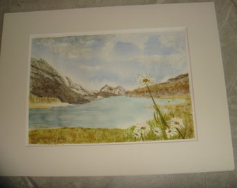 Original Signed Watercolour Painting Art Work & Certificate A4 Swiss Daisy
