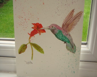 Original Signed Art Work & Certificate Water Colour OOAK Hummingbird Painting