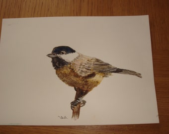 Original Signed Art Work Watercolour Painting OOAK Bird