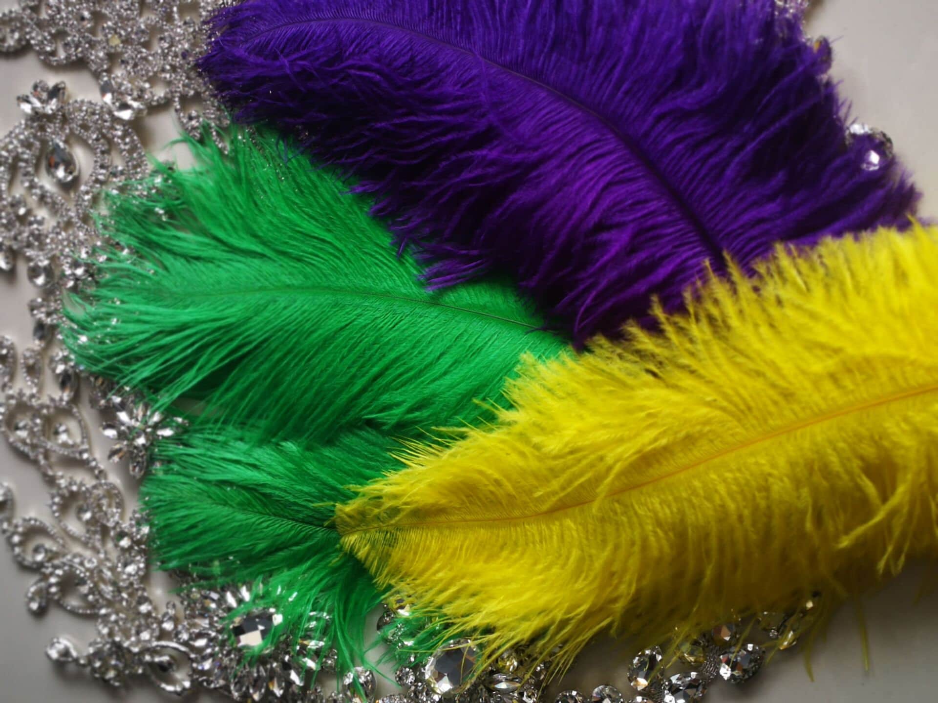 450 Pcs Mardi Gras Feathers Colorful Feathers for DIY Crafts Mardi Gras  Supplies Green Gold Purple Feathers Bulk Colorful Feathers Crafts for Mask