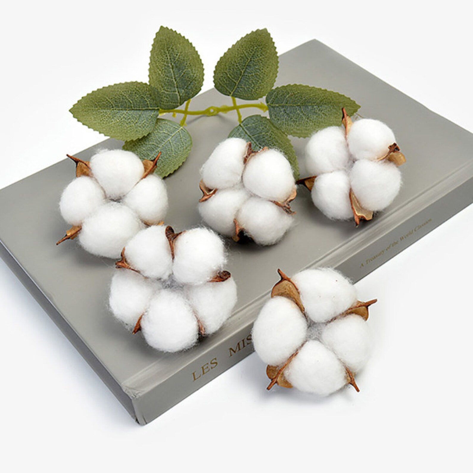 2/5/10 Pieces White cotton head 5cm natural kapok head dried Etsy