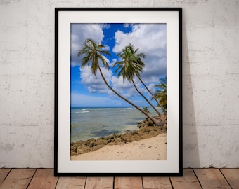 Barbados Coastal Print: Tropical Palm Trees and Sea.  Caribbean beach wall art.