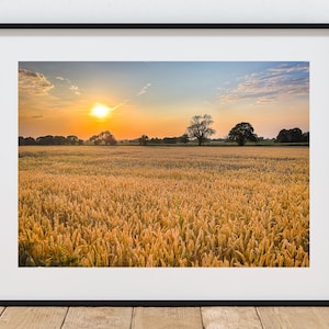 May include: A framed print showing a wheat field bathed in the warm light of sunset. The sky is a blend of orange and blue, with the sun shining brightly. Trees are visible on the horizon. The frame is black.