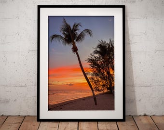 Tropical Caribbean sunset with palm trees at Coconut Court Hotel in Hastings, Barbados