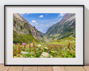 Berard Valley Print: Aiguilles Rouges National Park, Chamonix