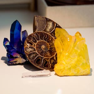 May include: A collection of three crystals: a blue iridescent crystal cluster, a yellow crystal cluster, and a brown fossilized ammonite.