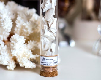 Galletas de mar "guts" en un tubo de vidrio