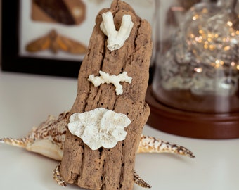 Arte de la pared de Driftwood