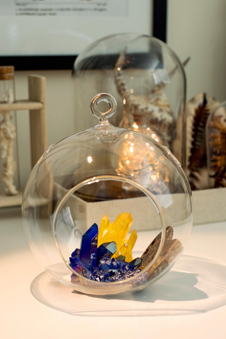 May include: A glass dome with a wooden base containing a cluster of blue and yellow crystals.