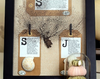 Caja de sombras de Atlántica y Conchas