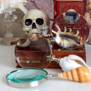 Shell Magnifying Glass