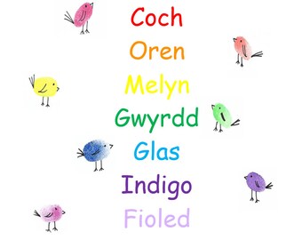 Enfys Coch - Welsh translated book