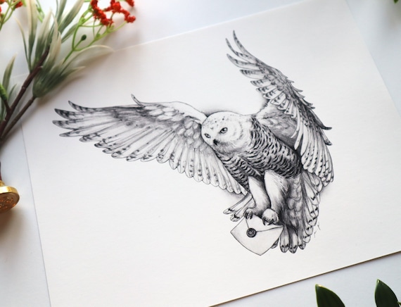 Snowy Owl - Art Print - Etsy