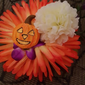 Jack O Laterne Kürbis Haarblume